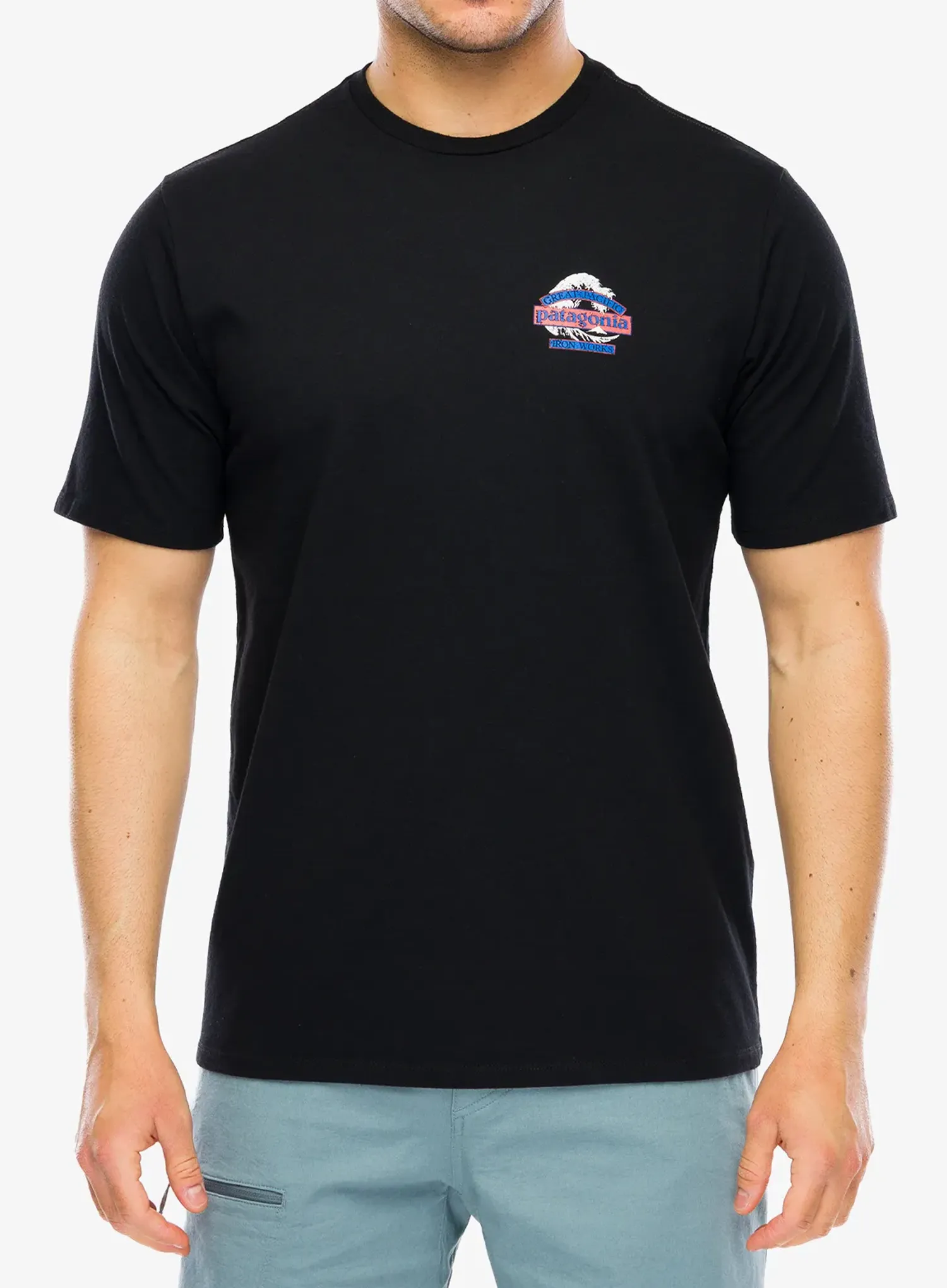 PatagoniaGreatWavesResponsibili_Teeblack198077792543a.webp