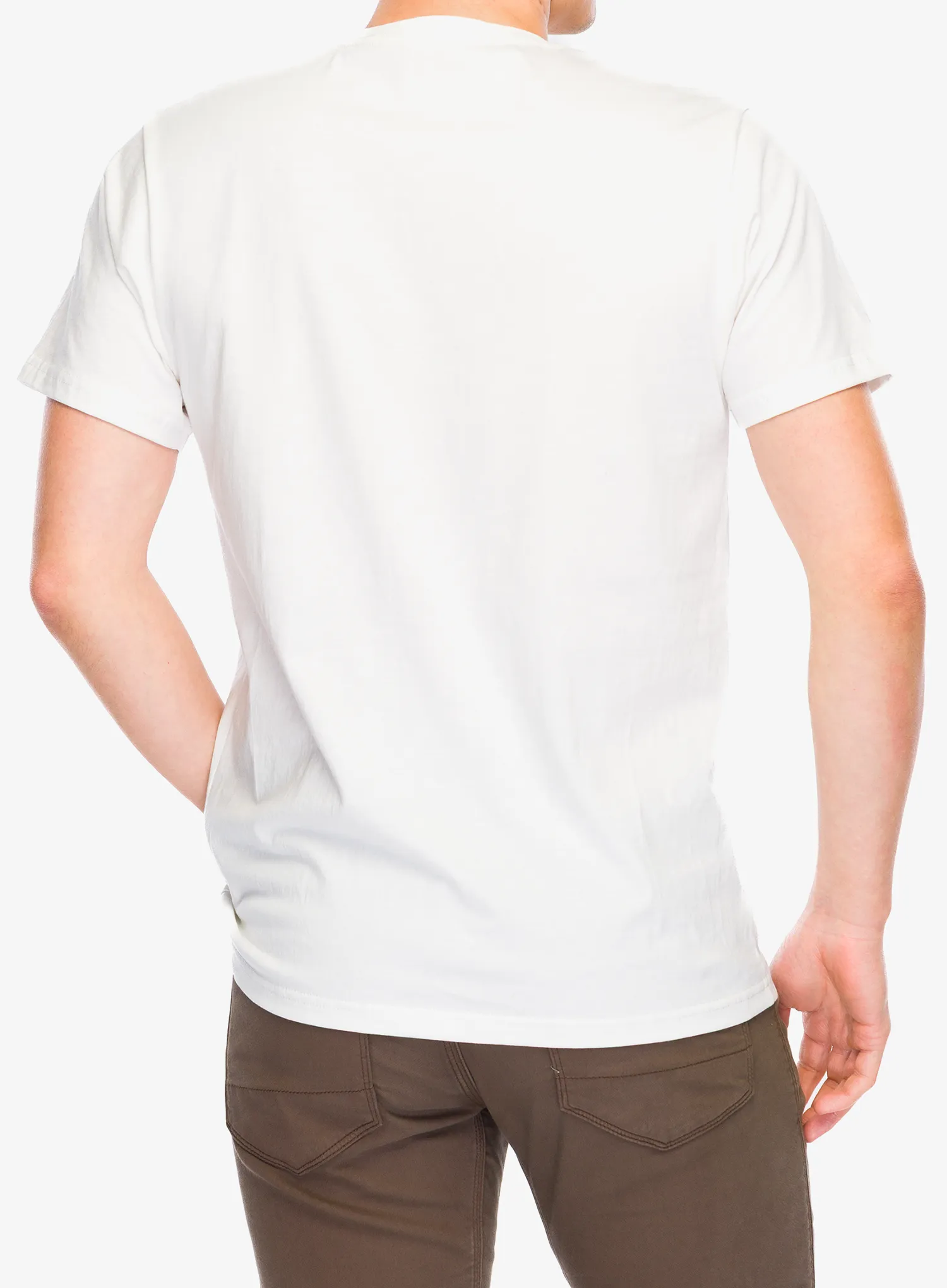 Tričko s potiskem Stance Botanica Tee - canvas