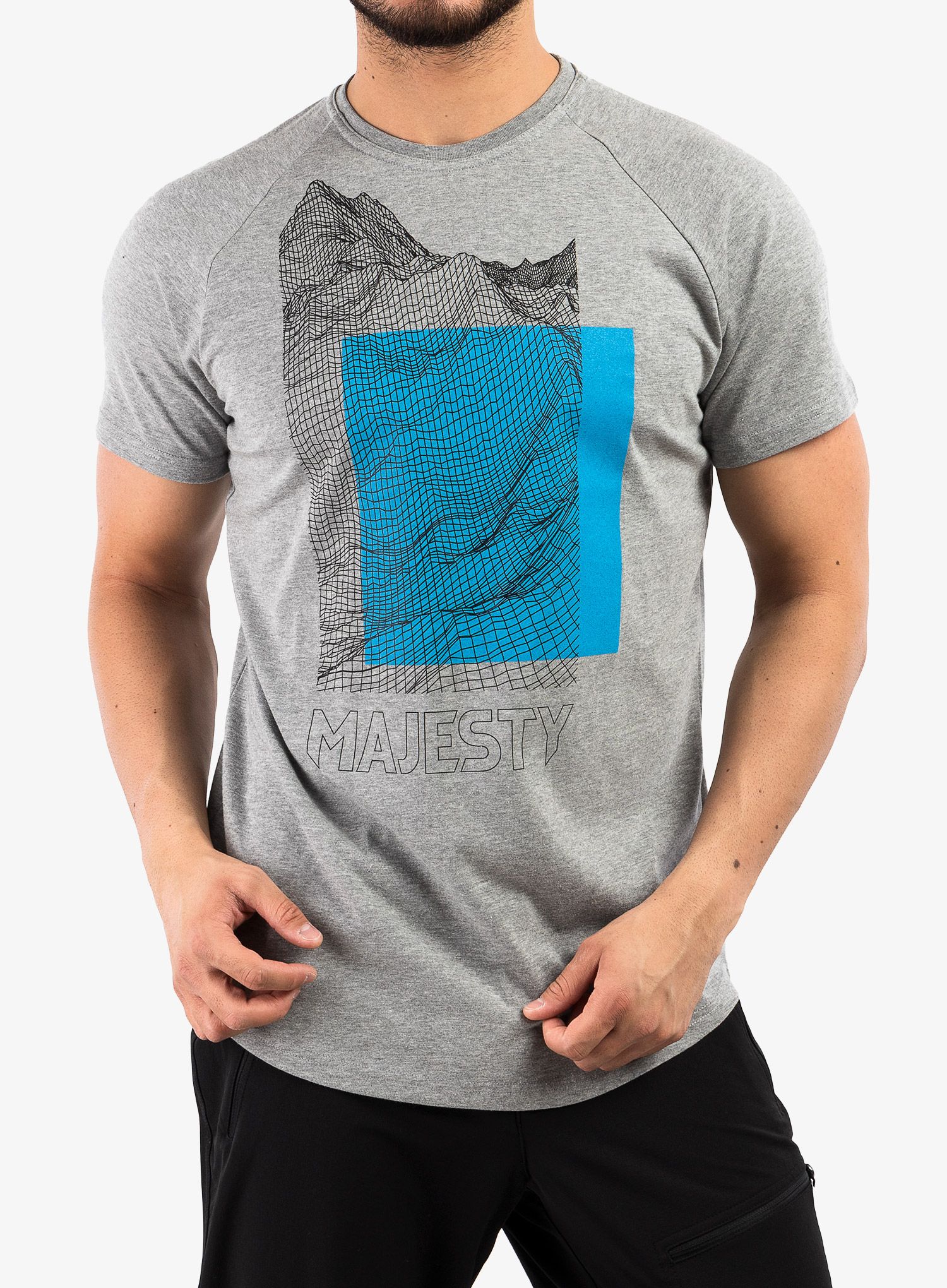 Bavlněné tričko Majesty Super T-shirt - grey