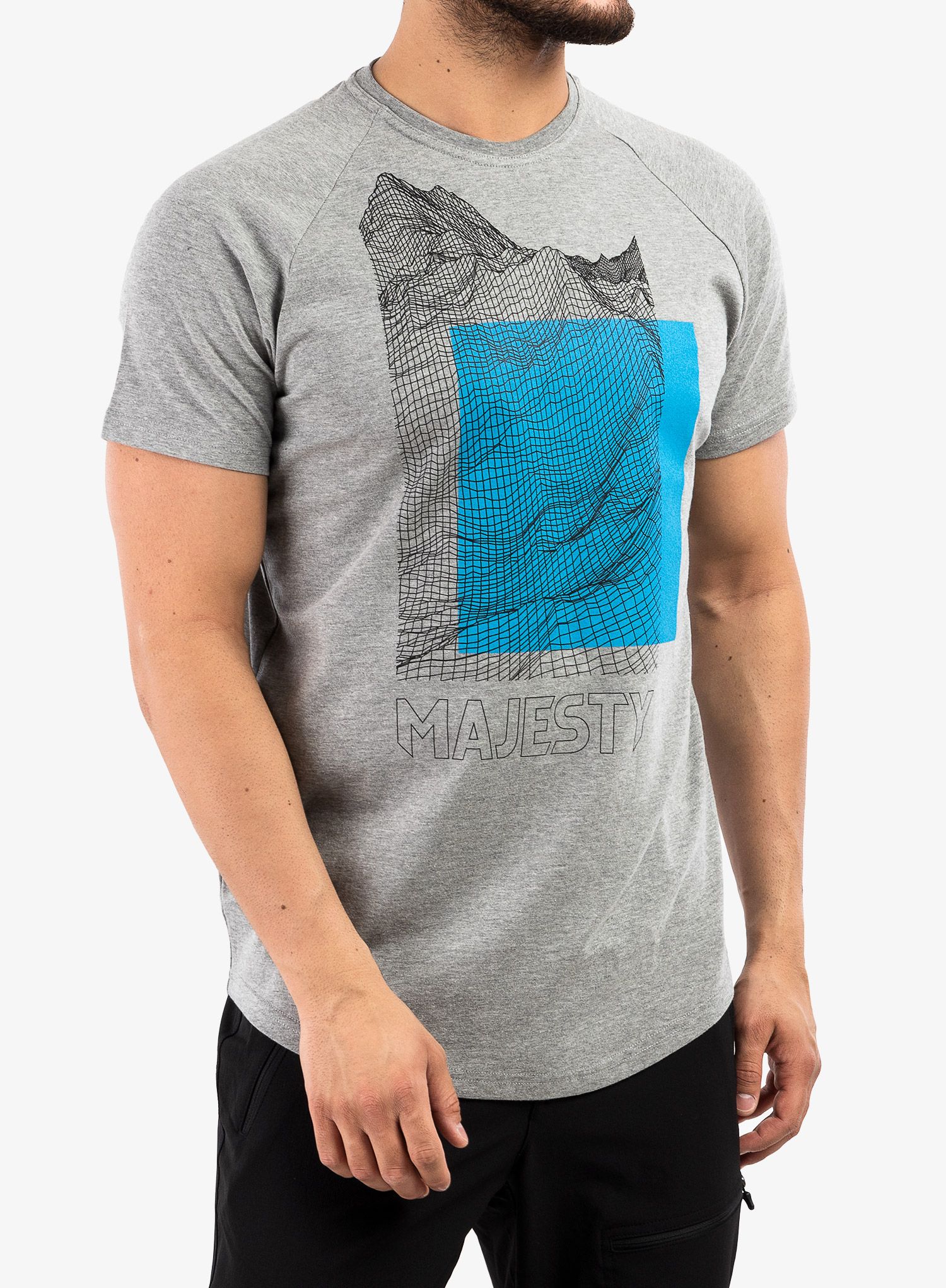 Bavlněné tričko Majesty Super T-shirt - grey