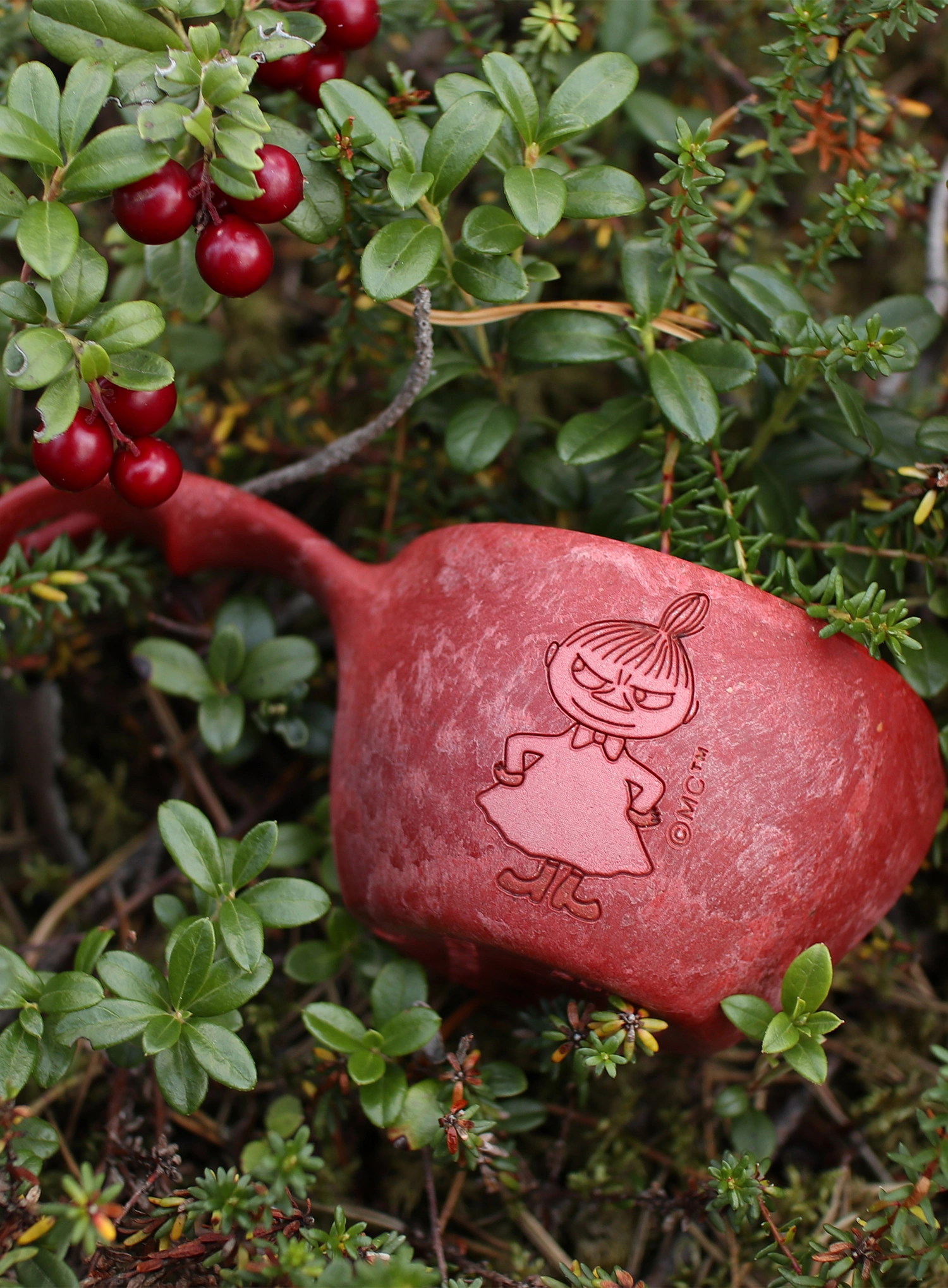 Hrnek Kupilka 12 Moomin Little My (0,12 l) - red