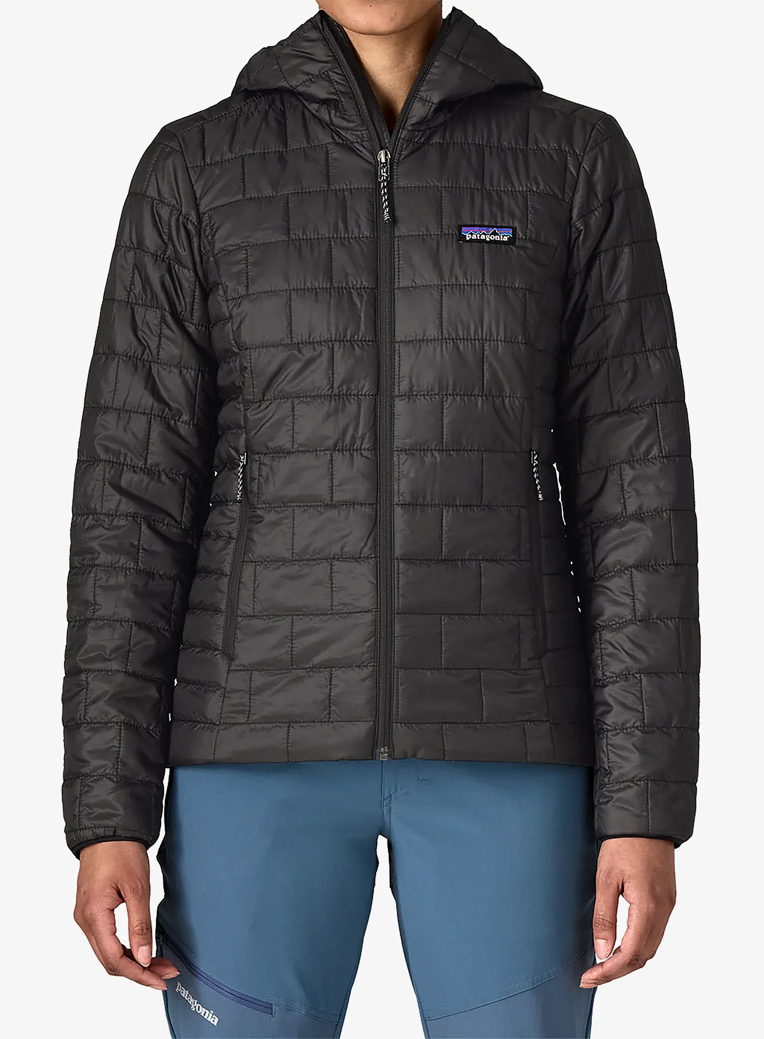 PatagoniaNanoPuffHoody_black_black_black_500.webp