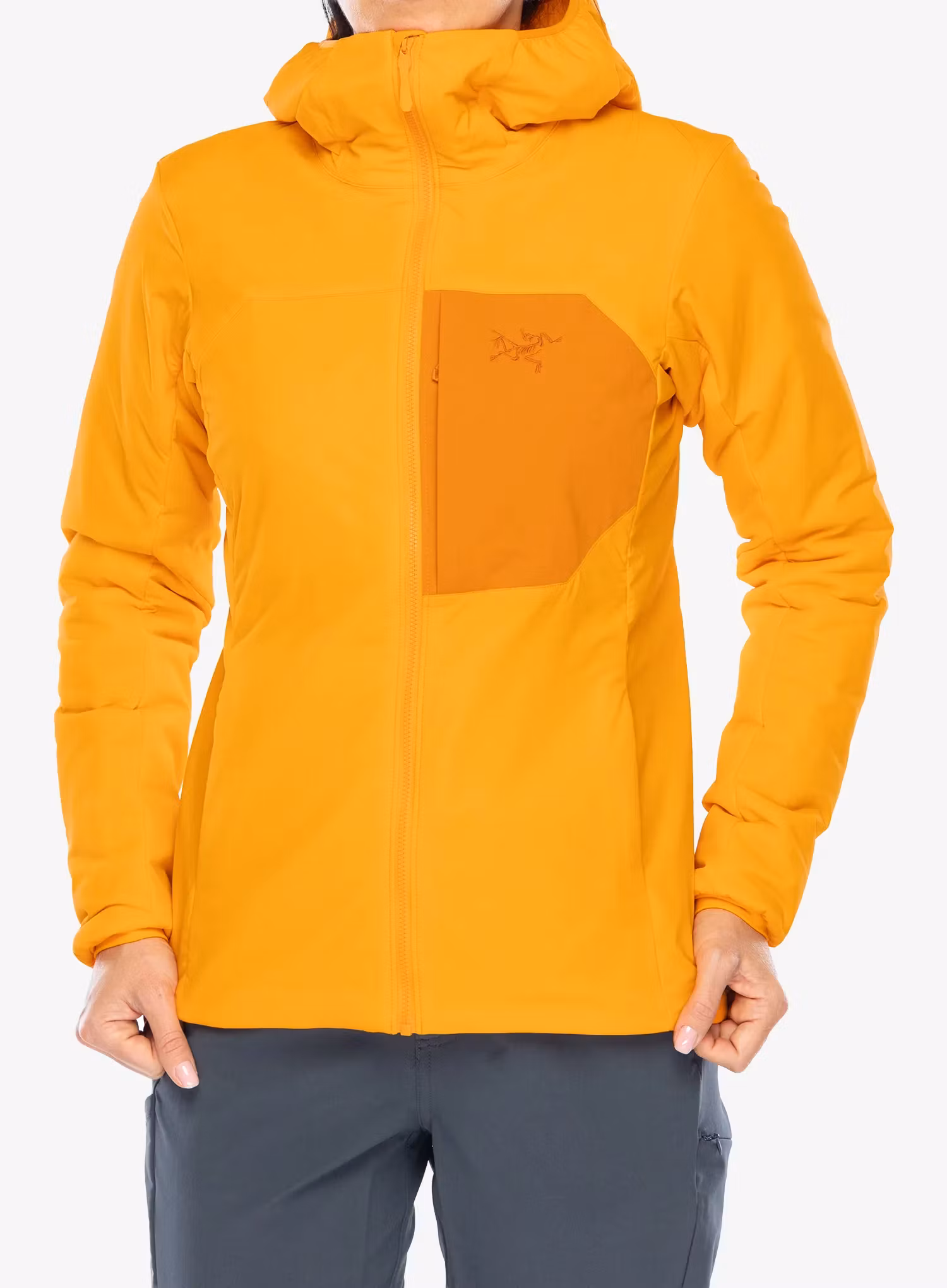 ArcteryxProtonHoody_blaze623555735311a.webp