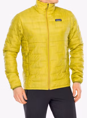 PatagoniaMicroPuffJacketgreen198077041443a.webp