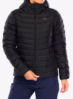 ArcteryxCeriumHoody_black623555783619a.webp