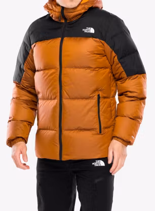 TheNorthFaceDiabloDown20Hoodie_mushroomemberblackheather197804218660g.webp