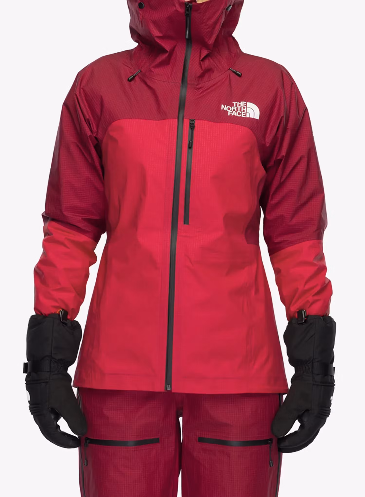 zxcTheNorthFaceSummitFuturelightAMKJacket_laliguranrhododendron_197804305032a.webp