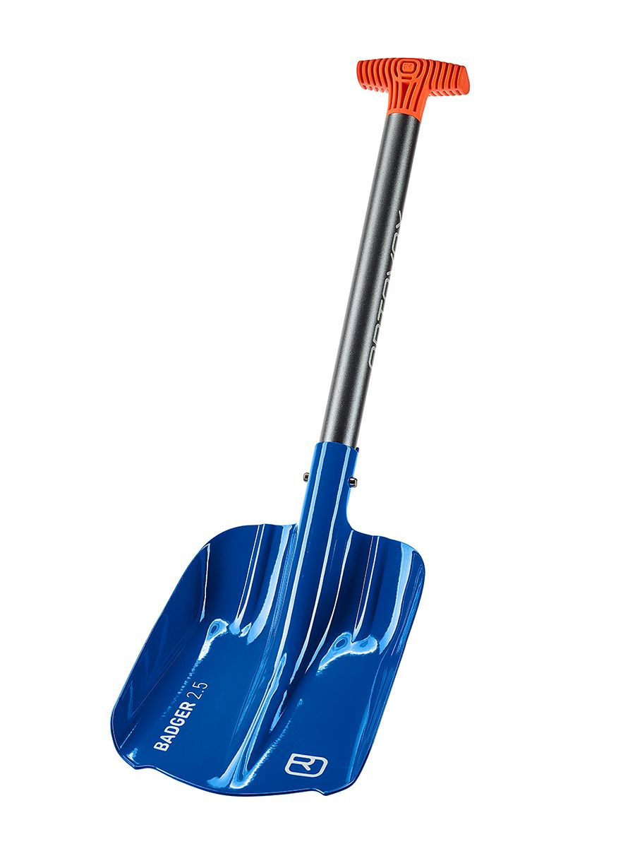 image_101011.jpg