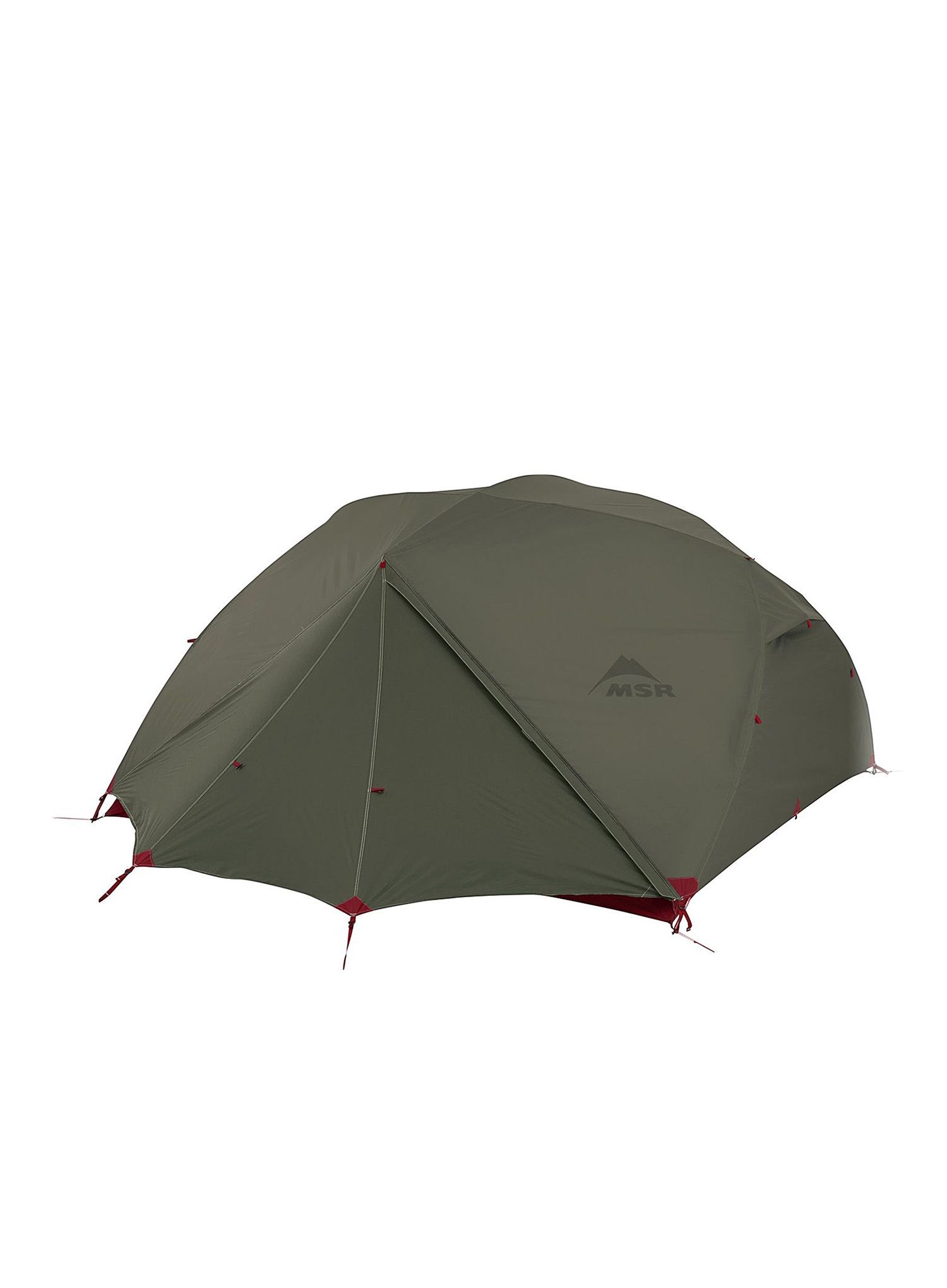Stan pro 4 osoby MSR Elixir 4 Tent V2 - green