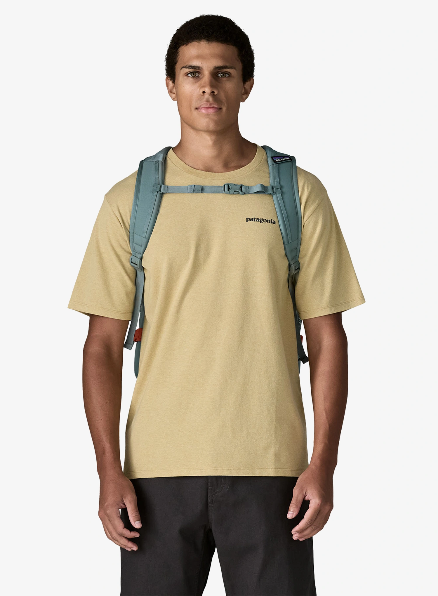 Batoh na notebook Patagonia Refugio Day Pack 30L - blue sage