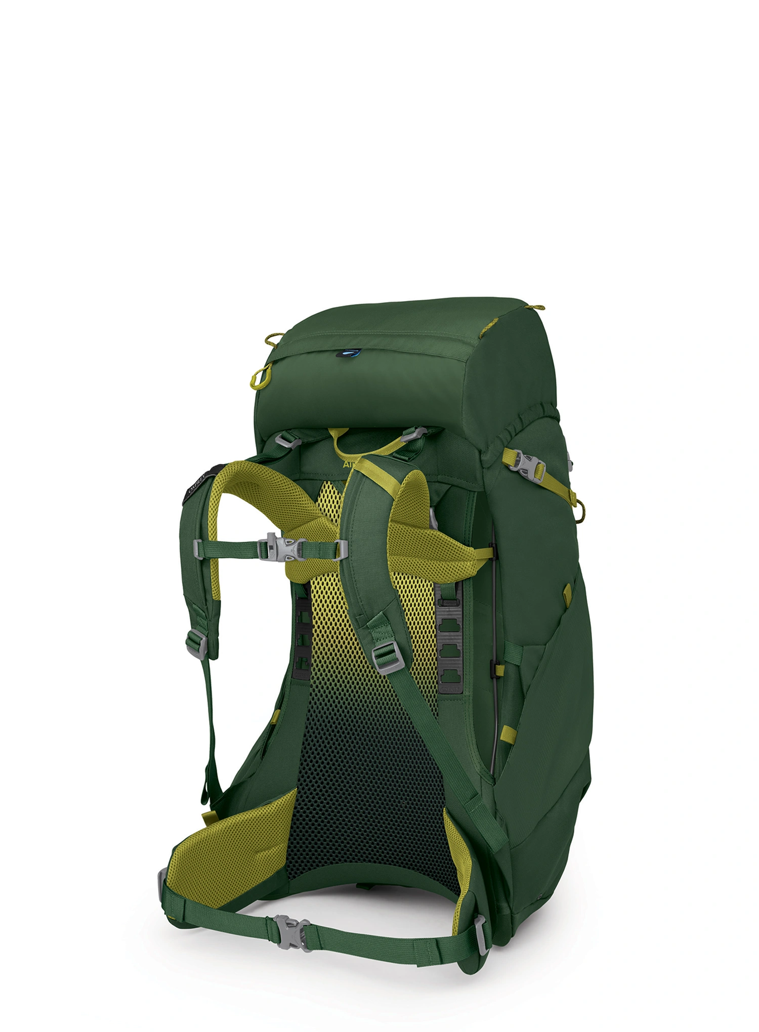 Dětský turistický batoh Osprey Ace 38 - green canopy