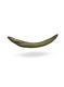 LesovikLarva_crocodilegreen_26.jpg