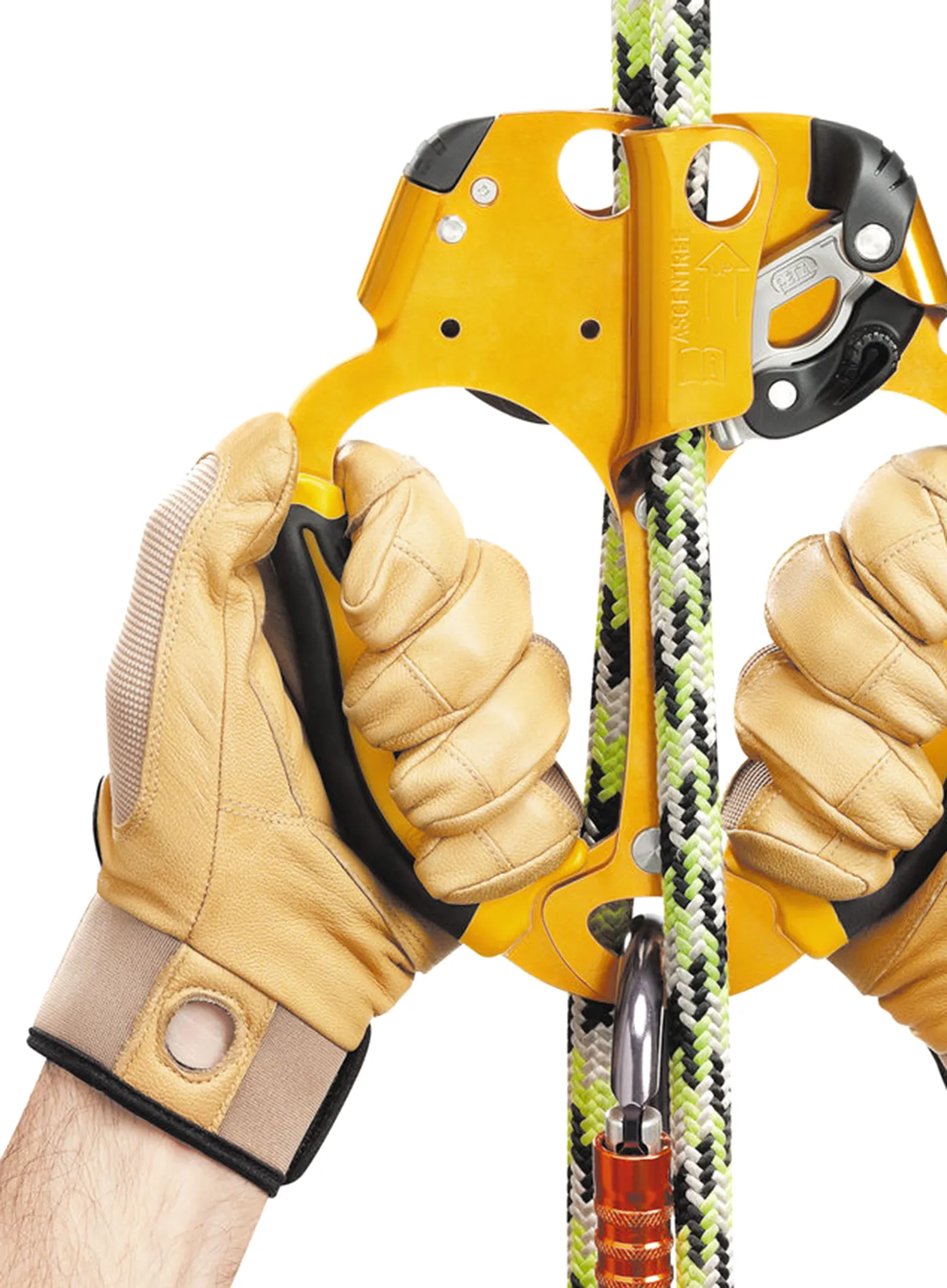 Blokant Petzl Ascentree
