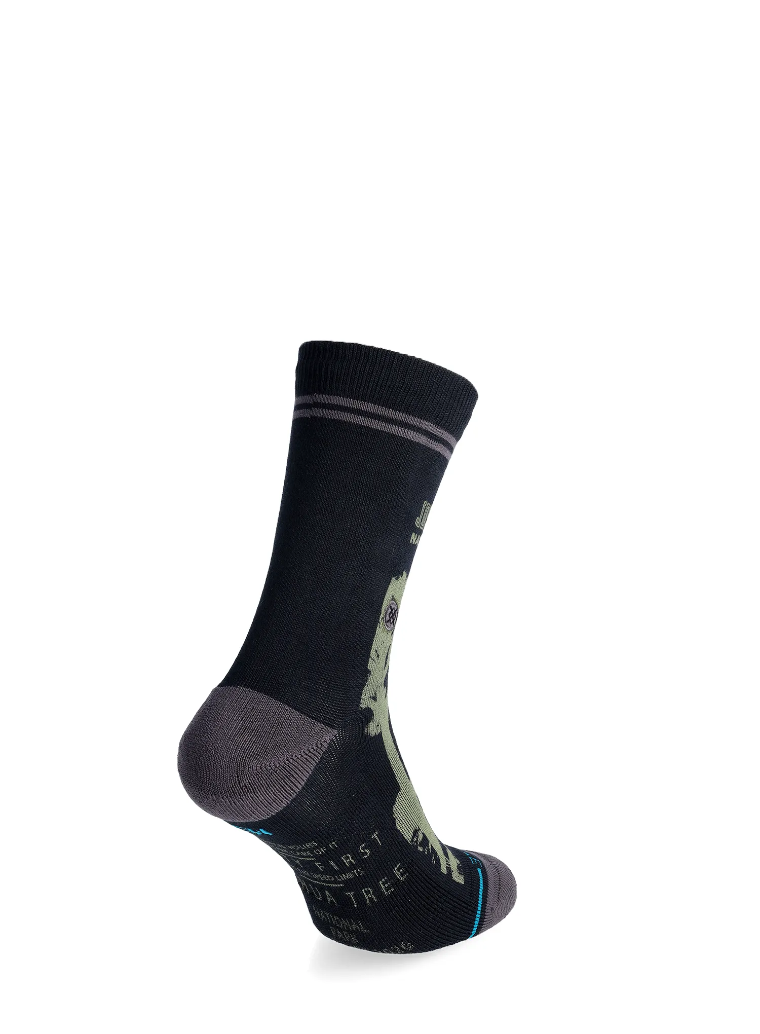 Ponožky Stance Joshua Tree NPF - black
