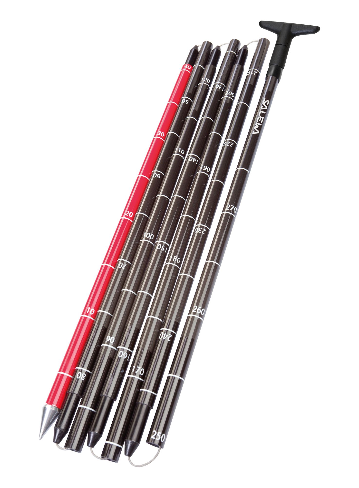 Lavinová sonda Salewa Lightning Carbon 320 Pro - black