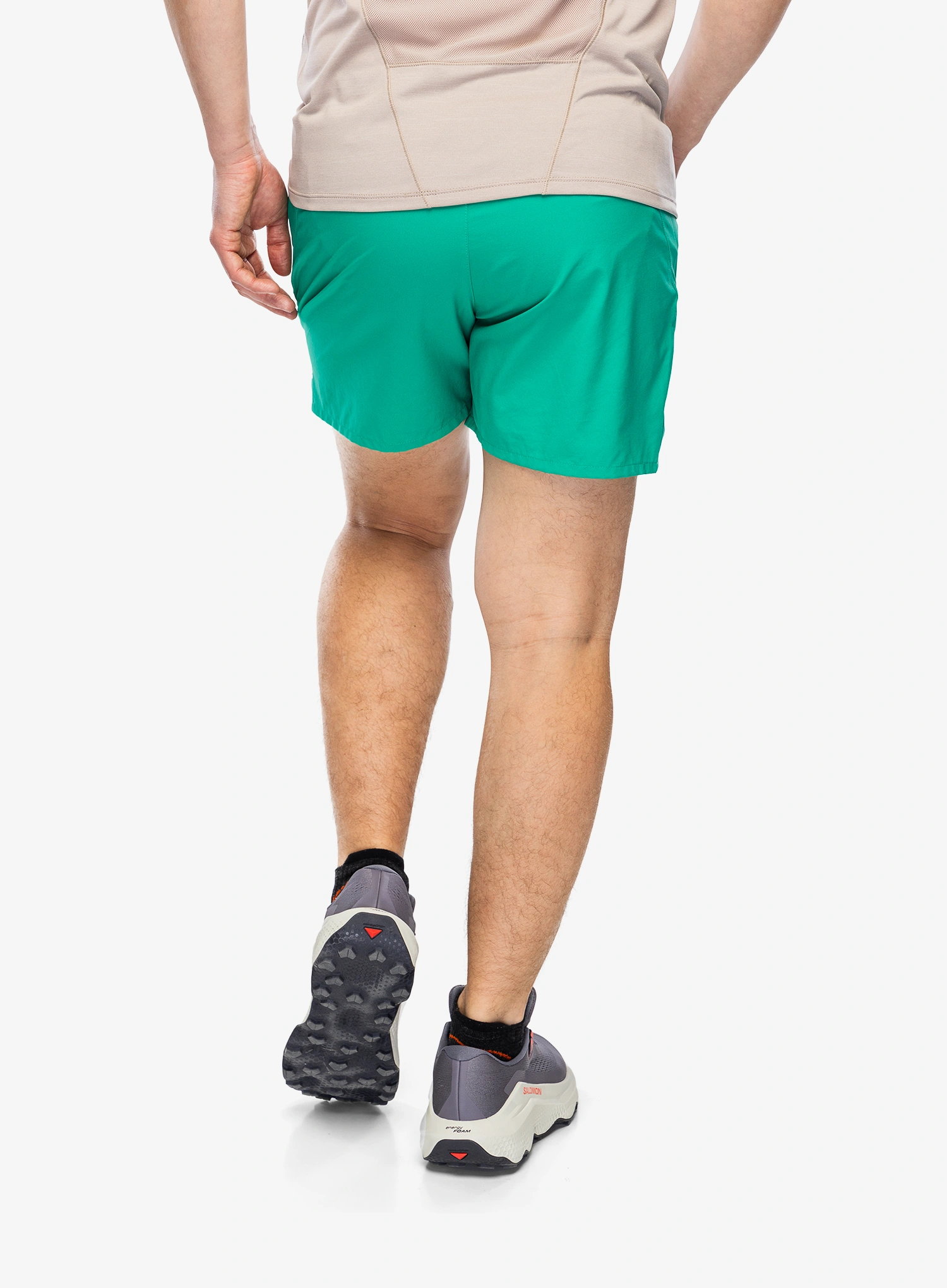 Pánské kraťasy Salomon Shakeout Core 5 Shorts - parakeet