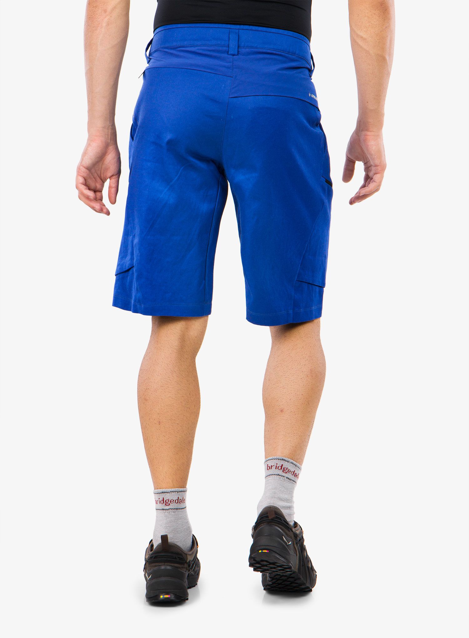Turistické kraťasy Salewa Puez Hemp Cargo Shorts - electric