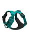 RuffwearFrontRangeHarness_aurorateal_195.jpg