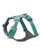 RuffwearFrontRangeHarnessXXS_riverrockgreen_748960245740a.jpg