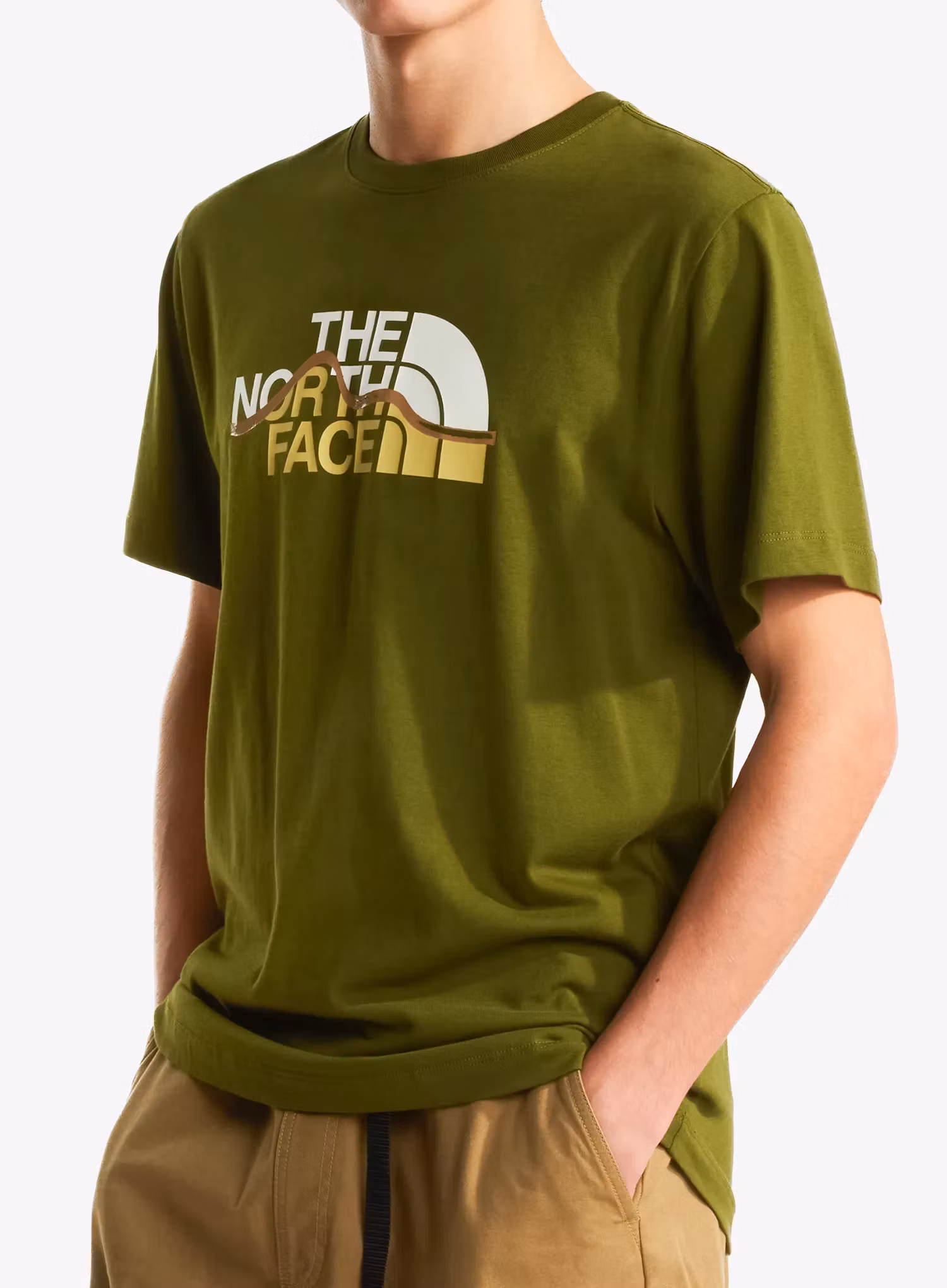 qweTheNorthFaceMountainLineRegularSSTeewoodlandgreen198266087283a.webp