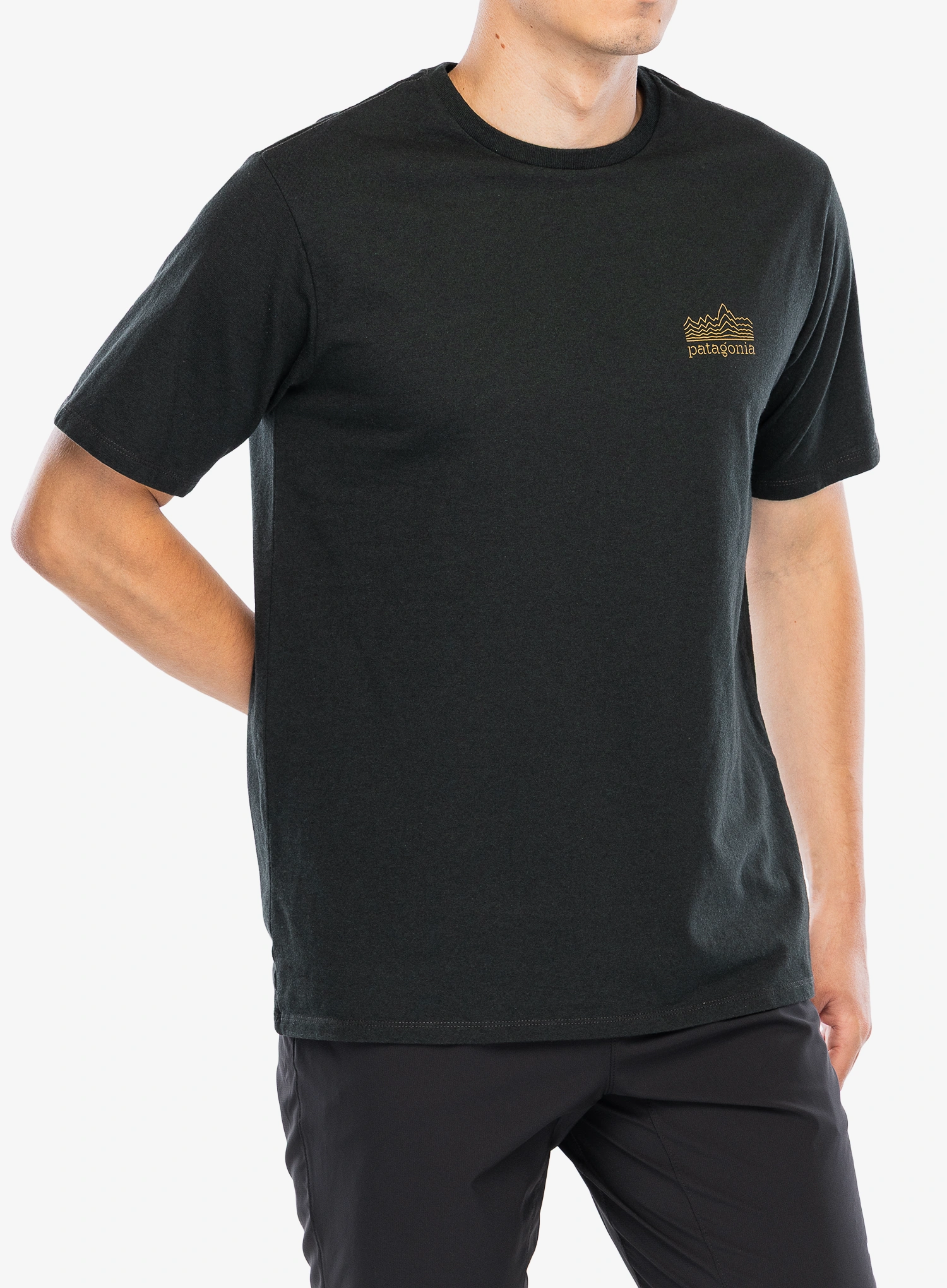 Tričko s potiskem Patagonia Strataspire Responsibili-Tee - old growth green