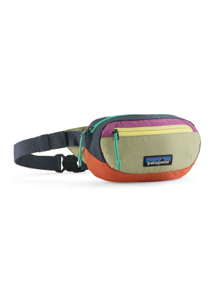 PatagoniaTerraviaMiniHipPack_patchwork_gumtreegreen_735.webp